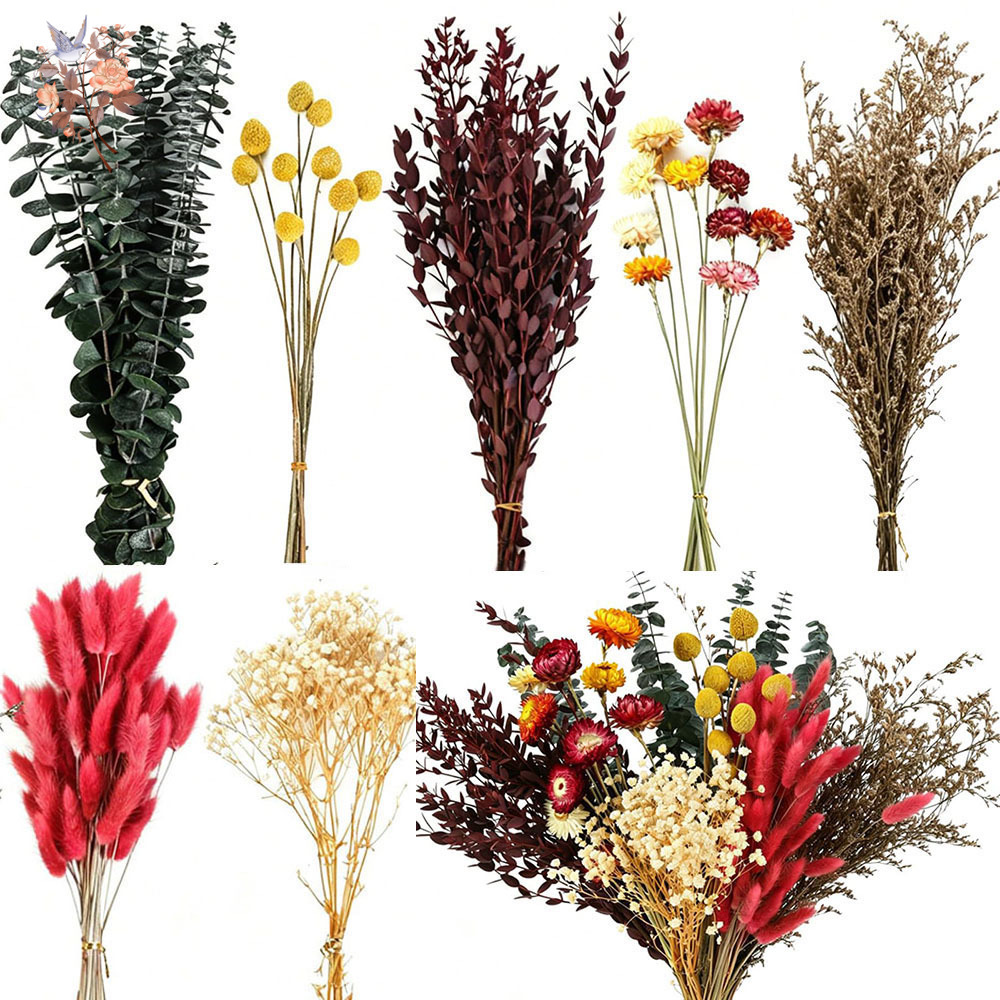 Wedding Supply Bulk - Dried Flowers Bulk Set 7 Kinds
