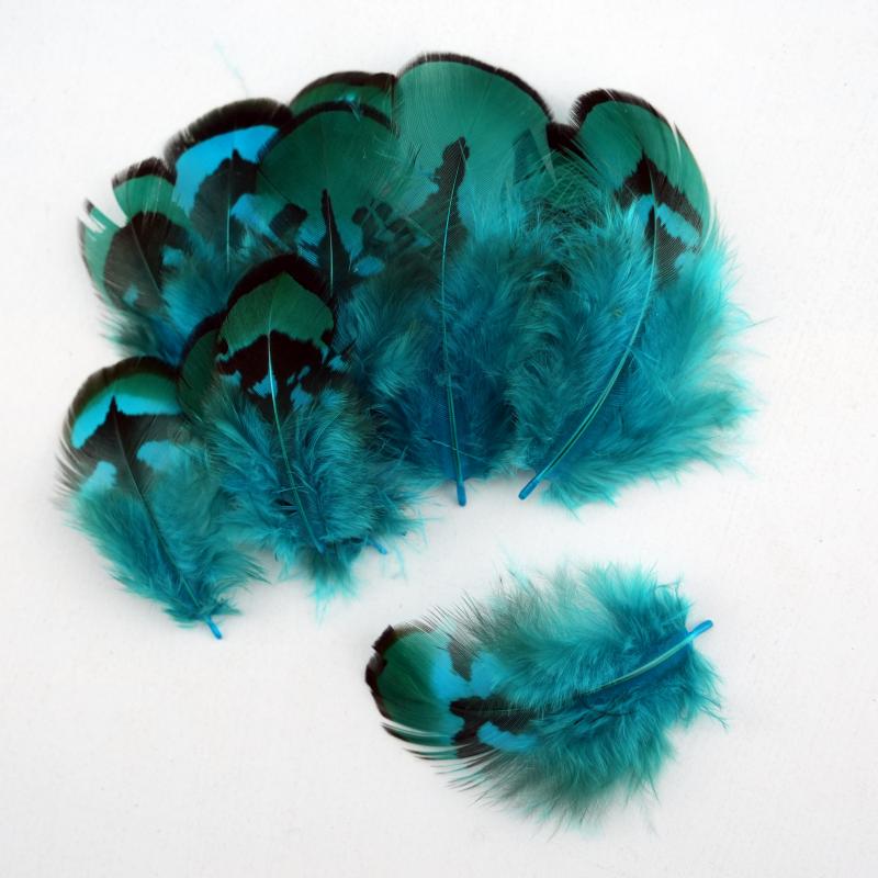 Natural DIY Pheasant Feathers  - Wedding Supply Bulk ulasan dan harga