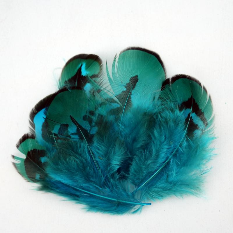 Natural DIY Pheasant Feathers  - Wedding Supply Bulk ulasan dan harga
