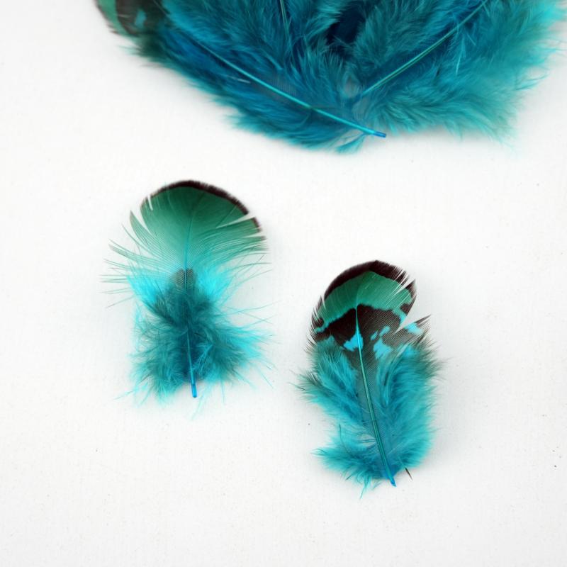 Natural DIY Pheasant Feathers  - Wedding Supply Bulk ulasan dan harga